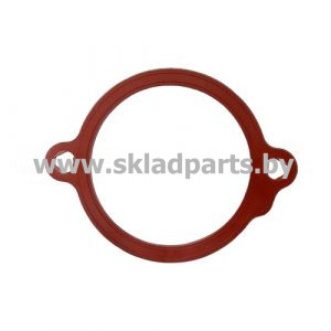 Прокладка фланца термостата 04903098